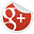Google+ icon